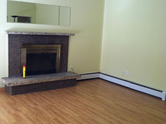 Wood Burning Fireplace