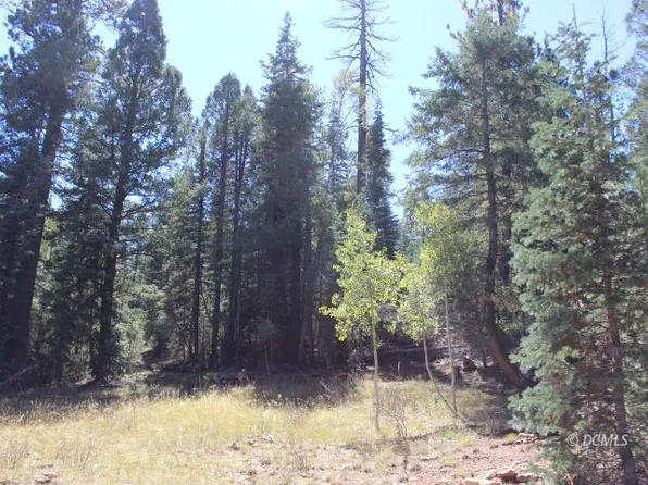 55 Jennifer Ct, Duck Creek Village, UT 84762