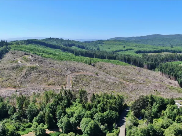 0 NKA Smith Creek Road, Raymond, WA 98577