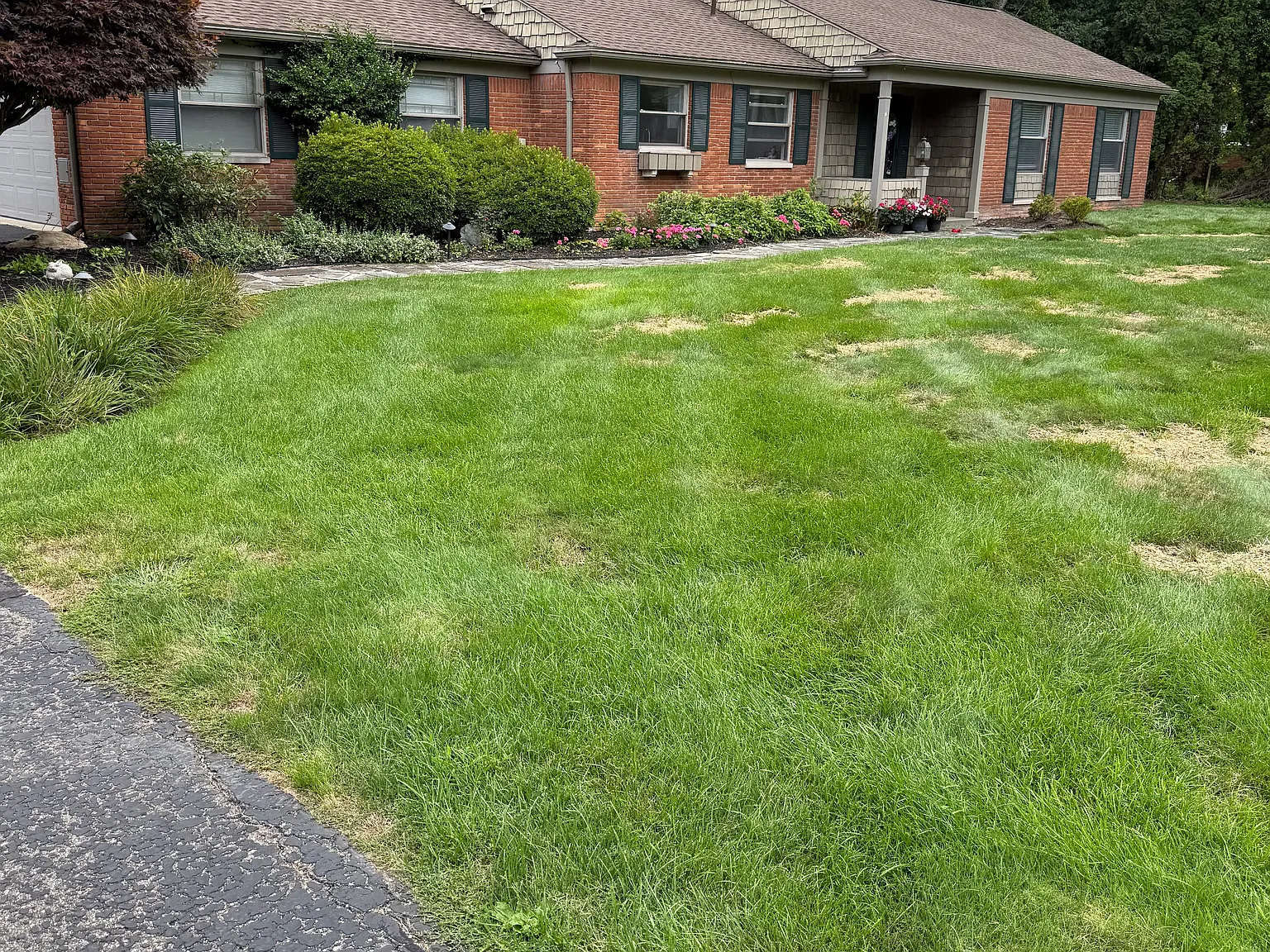 3 bed, 1.5 bath, 2100 sqft, $3,500 — Photo 1