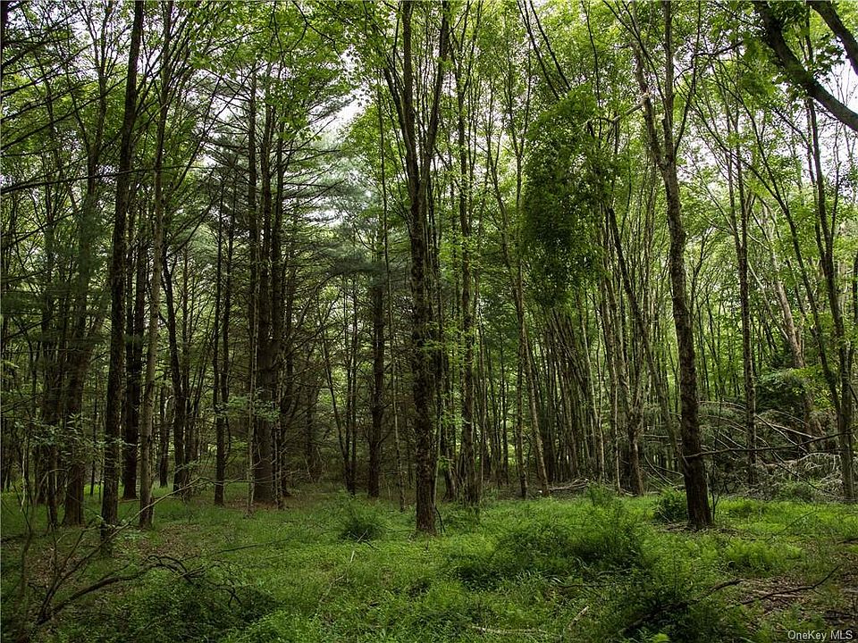 LOT 4 Chapin Trl, Bethel, NY 12720 MLS H6204195 Zillow