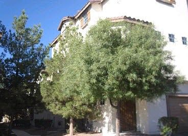 4th image of 5955 Nuevo Leon St Lot 3