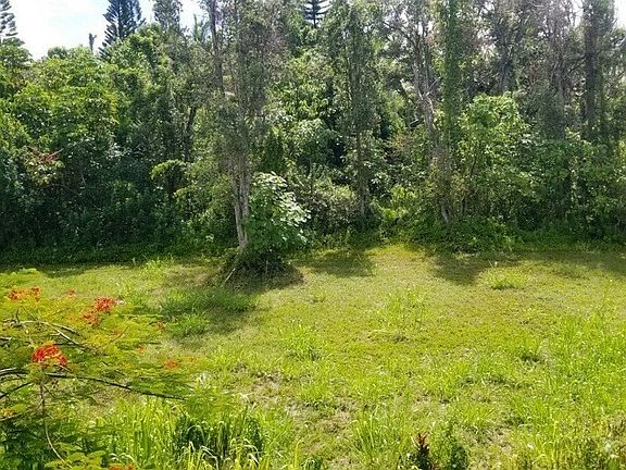2nd image of Lahela St Lot 195
