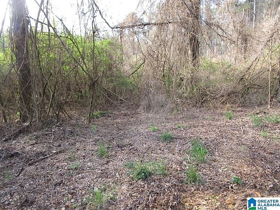 2nd image of 7150 Cavern Rd