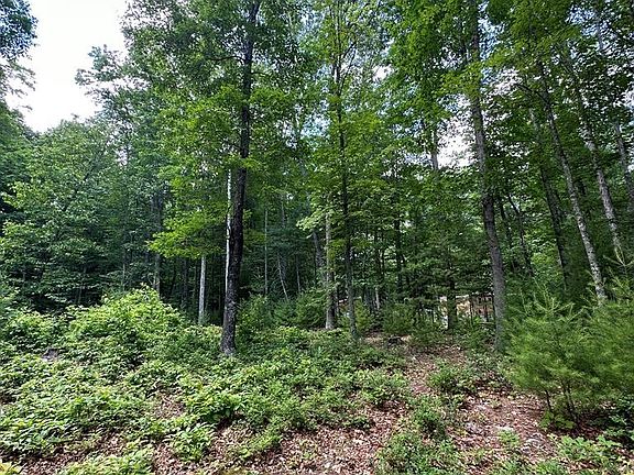 4th image of 0 Moncove Lake Access Rd