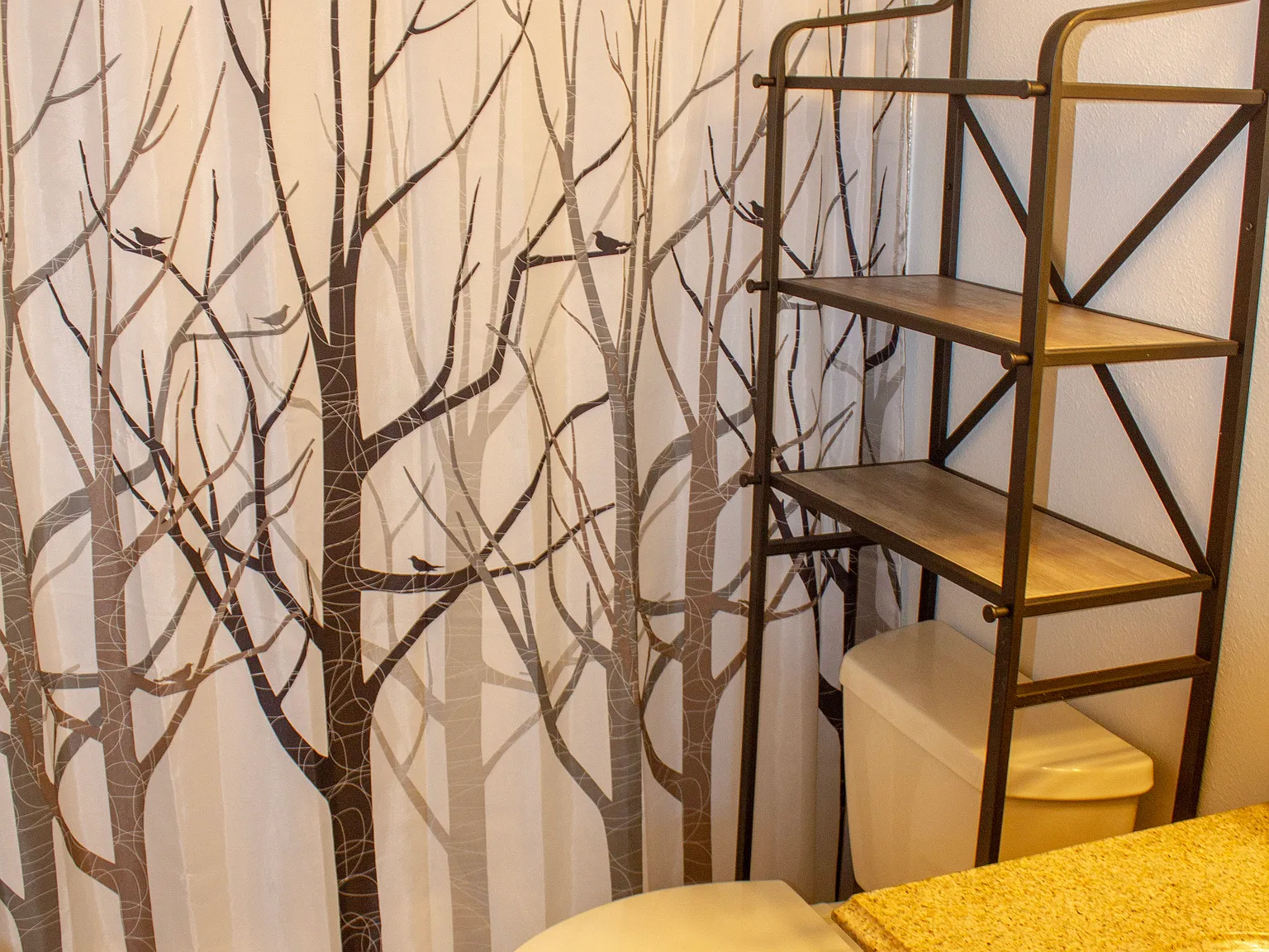 2 bed, $3,200 — Photo 4