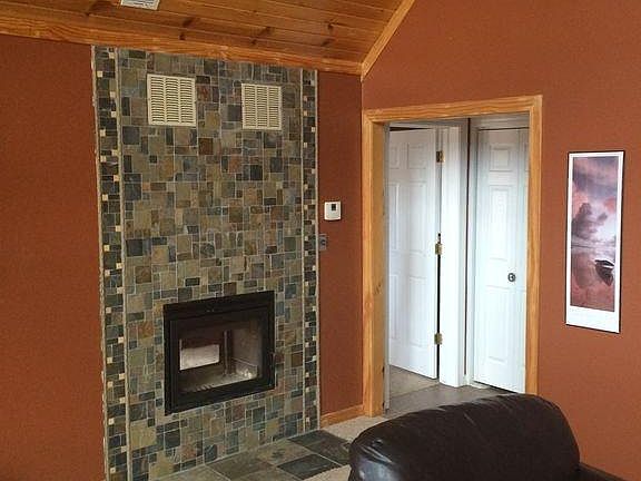 Double sided Wood burning insert