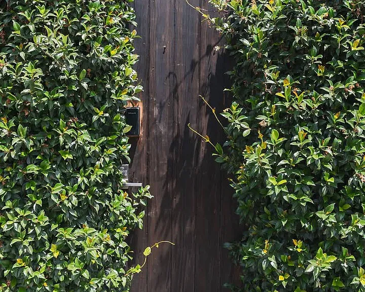 Tamarind Ave — Photo 60