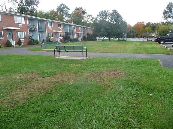 5th image of 30 Lamb Ave APT 2C