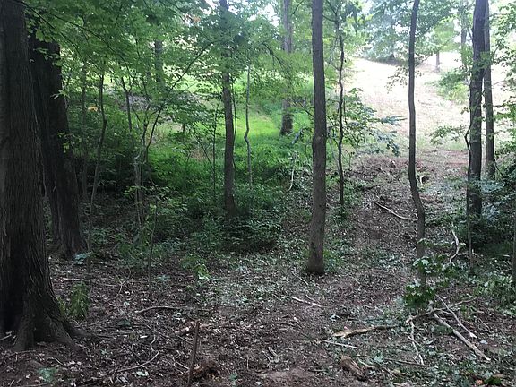 3rd image of 373 Forest Trail Dr