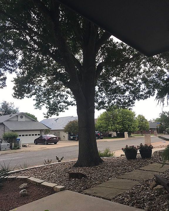 Front Yard View from porch