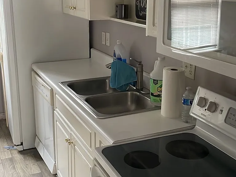 454 Flowing Creek Dr — Photo 3