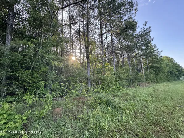 N Lot 3 River Rd Lot 3, Summit, MS 39666