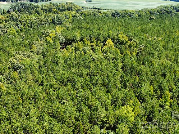 4th image of 0 Blair Hendrick Rd