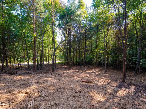 320 Valley Dr, Loudon, TN 37774