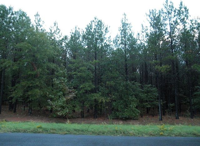 1st image of Lot 161 Stillwater