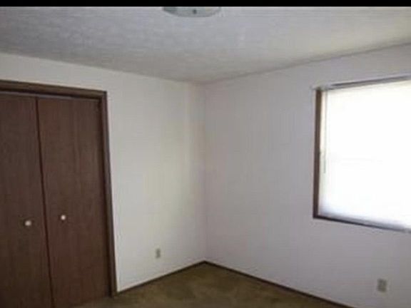 4th image of 1334 Lindenwood Ct