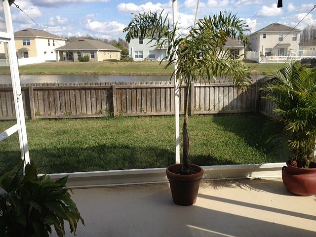 2nd image of 3226 Whitley Bay Ct