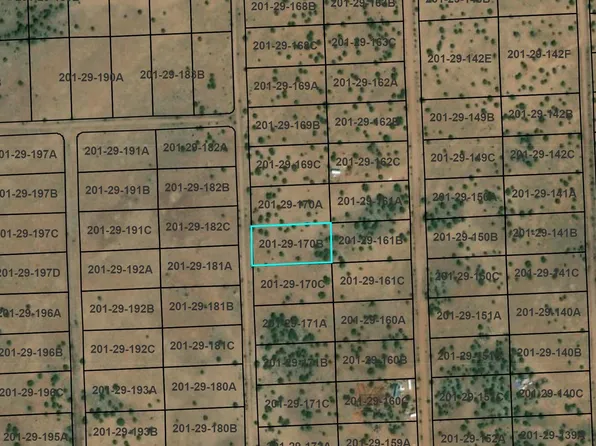 County Road 5123, Concho, AZ 85924