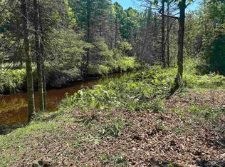 Beaver Ln, Perkins, MI 49872