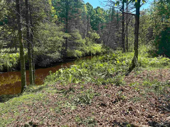 Beaver Ln, Perkins, MI 49872