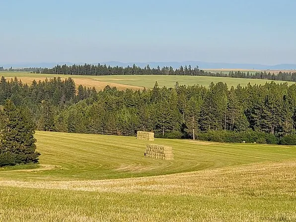 0 Benedict Rd, Winchester, ID 83555