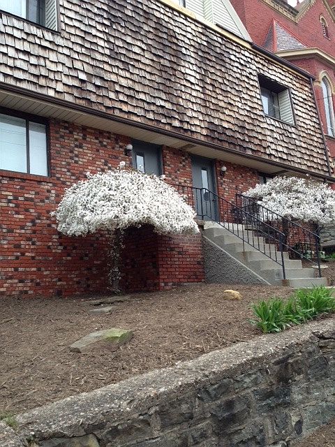 Next to Shiloh St and Incline
