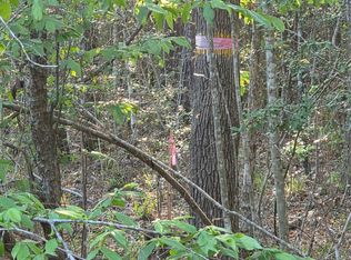 Pacel 130757 Hwy #190, Pointblank, TX 77364