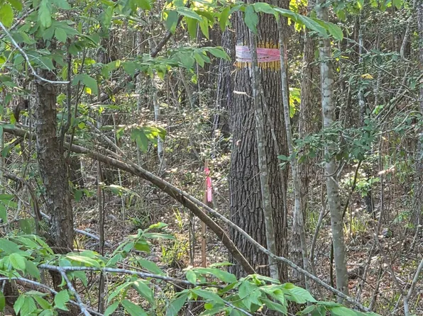 Pacel 130757 Hwy #190, Pointblank, TX 77364