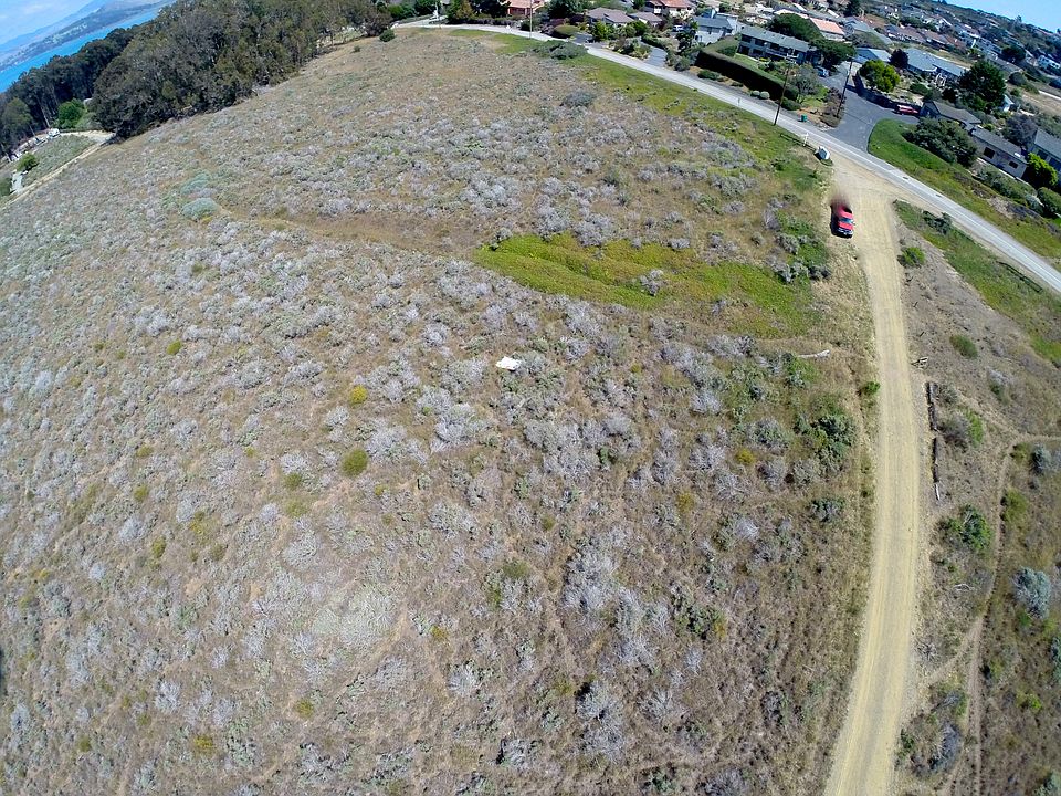 2nd image of Pecho Road