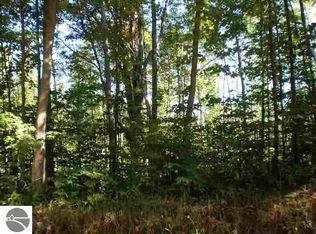 0 Packingham Rd, Manton, MI 49663