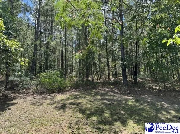 Wild Spring Rd, Hartsville, SC 29550