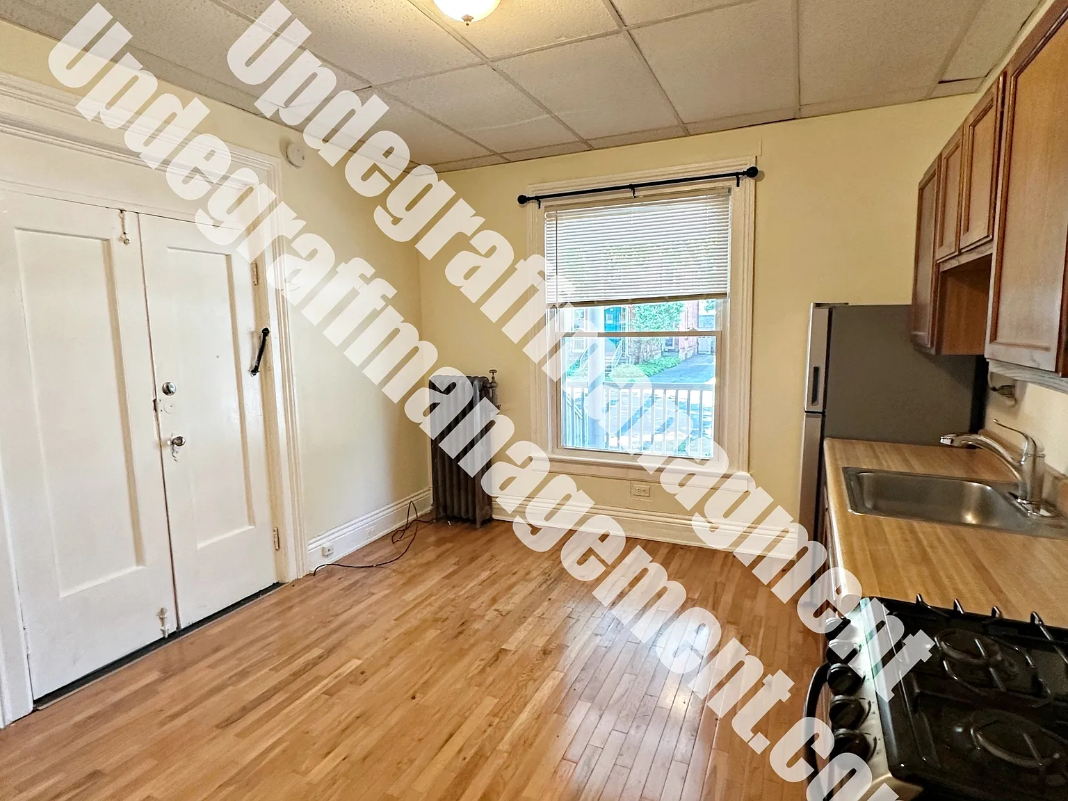 48 Rowley St — Photo 4