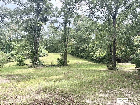 3rd image of 4599 Brushy Creek Rd