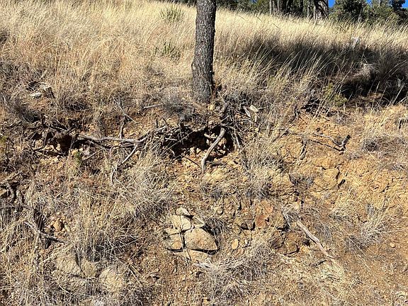 3rd image of 115 College Dr