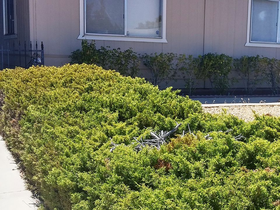 1st image of 16293 Wimbleton Dr