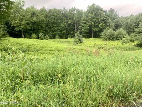 Clemen U Muller St, Beach Lake, PA 18405