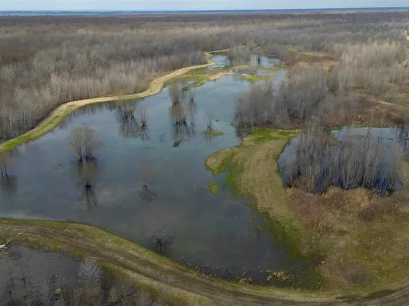 0 County Road 854 #0, Caraway, AR 72419