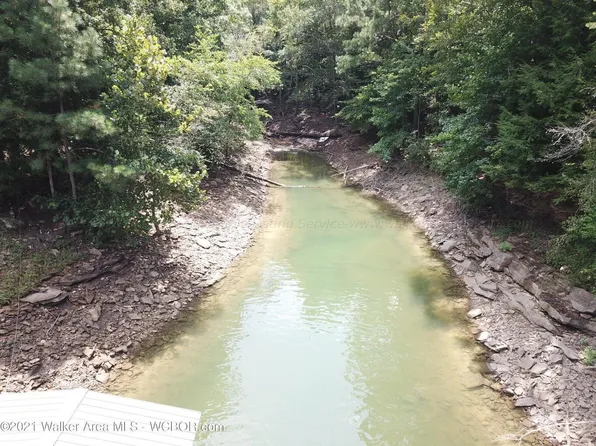 LOT 37 Brushy Ln, Arley, AL 35541