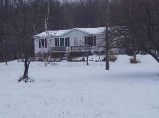 1108 W Van Rd, Pellston, MI 49769