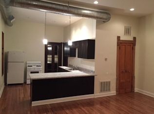 1030 S May St APT 2, Chicago, IL 60607