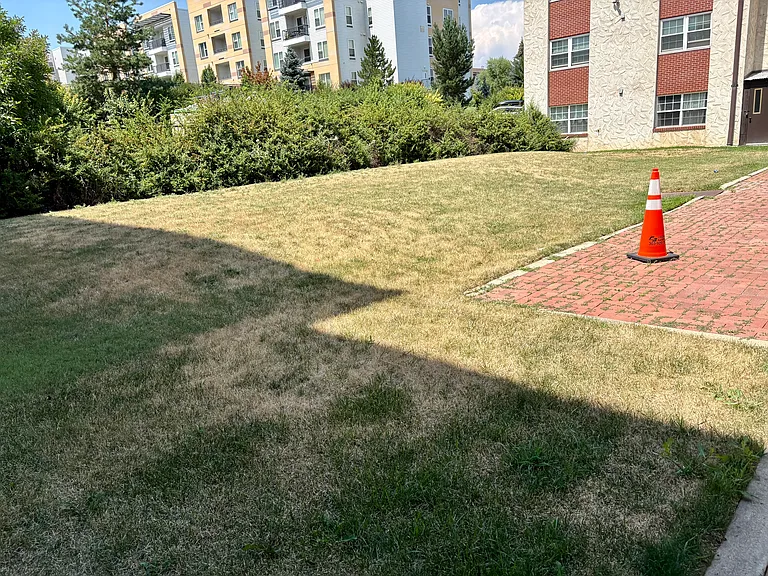 Grassy area outside near pool