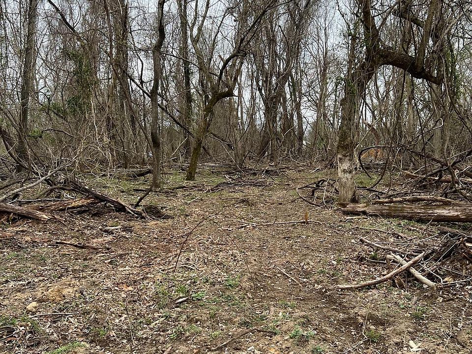 2nd image of Briar Trl