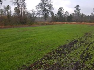 3392 SW Bee Tree Rd, Madison, FL 32340