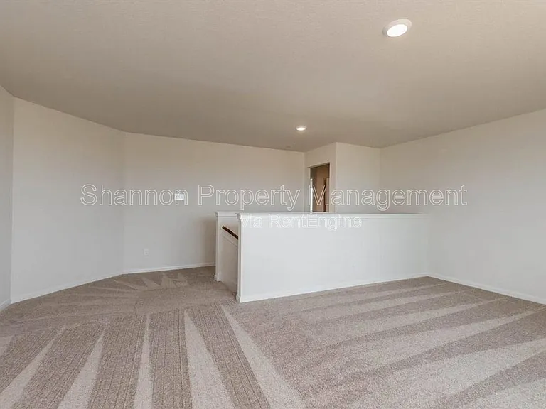 20722 Nala Bear Dr — Photo 10