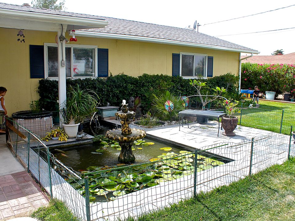 Huge Koi Pond With Fountain