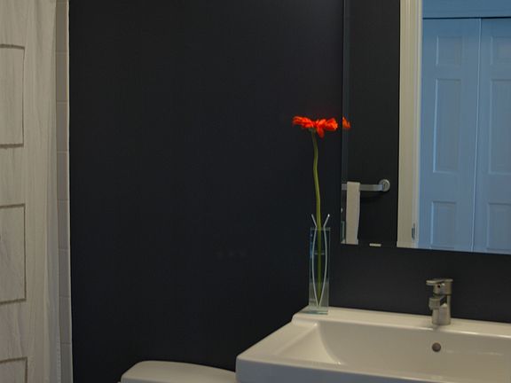 new master bath