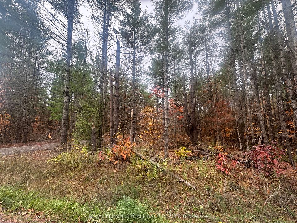 1st image of 945 Shanick Rd