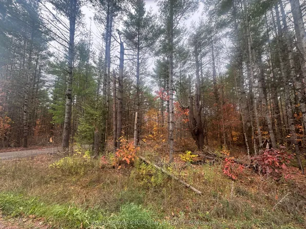 945 Shanick Rd, Marmora And Lake, ON K0K 2M0