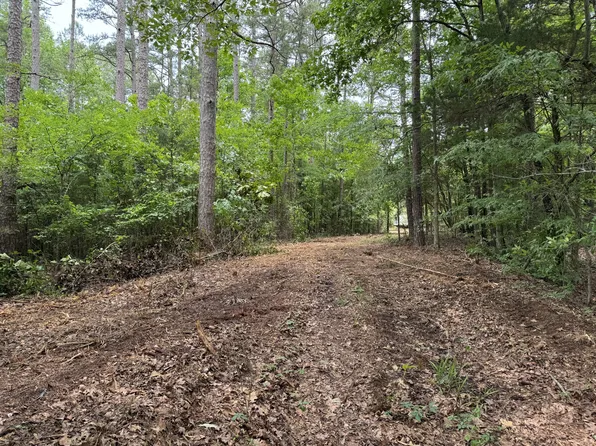 0 Haddix Way, Bolivar, TN 38008